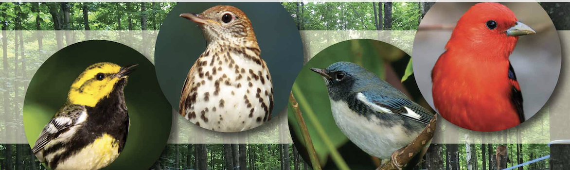 USDA Awards $2M Grant to Expand Bird-Friendly Habitat Program